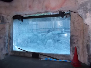 工事前 カワウソ舎 水槽 ガラス交換